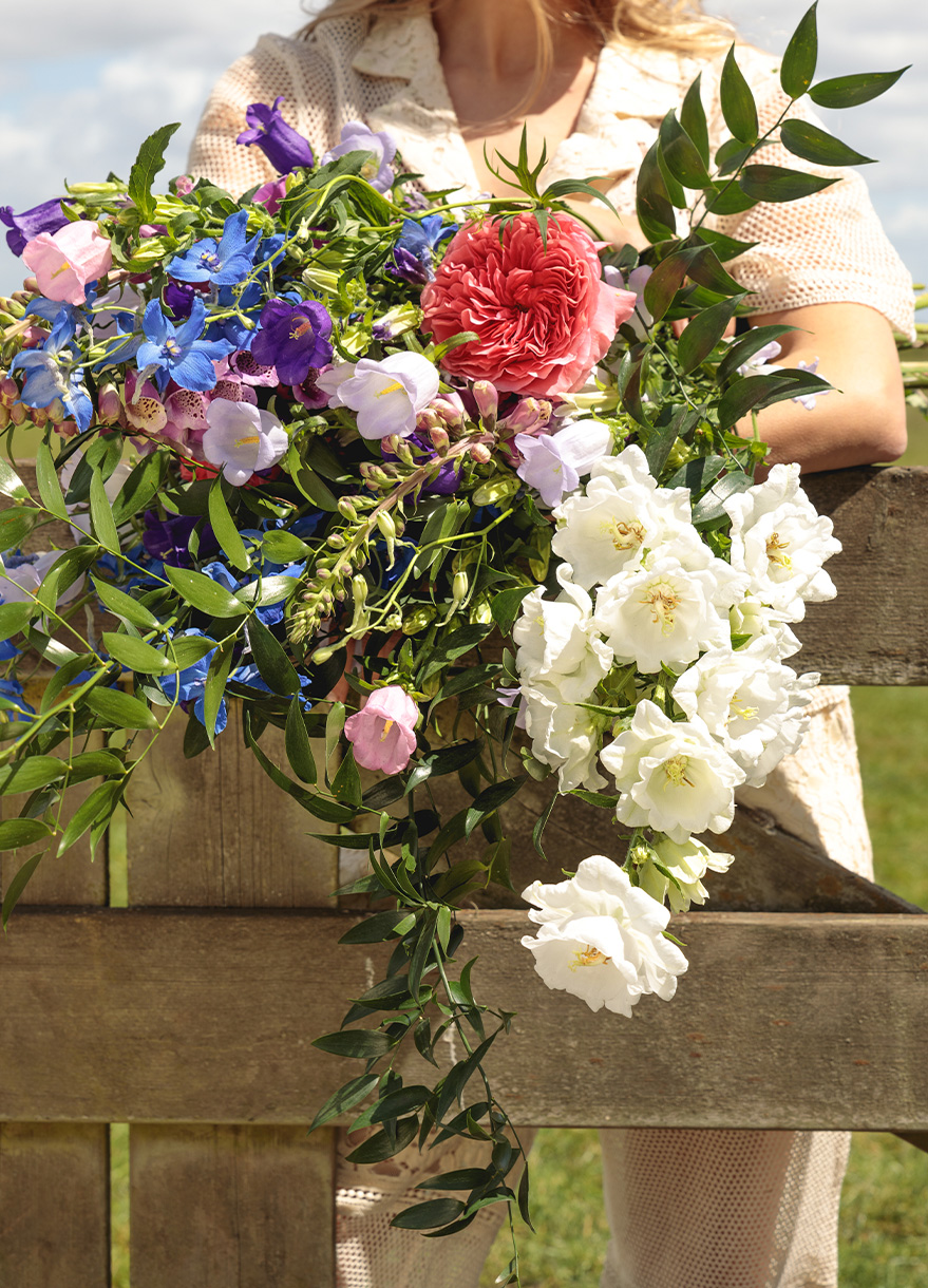 sfeerfoto_tekst_FH-Campanulove-PANA8173